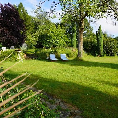 Gruene Wohlfuehloase Mit Einmaliger Aussicht Appartement Königswinter Buitenkant foto