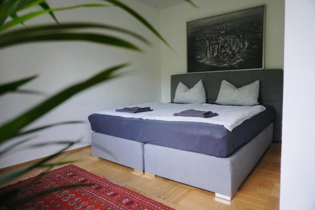 Gruene Wohlfuehloase Mit Einmaliger Aussicht Appartement Königswinter Buitenkant foto
