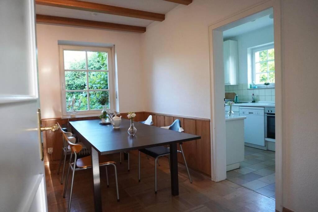Gruene Wohlfuehloase Mit Einmaliger Aussicht Appartement Königswinter Buitenkant foto