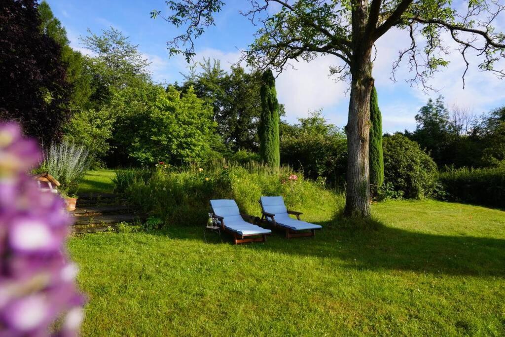 Gruene Wohlfuehloase Mit Einmaliger Aussicht Appartement Königswinter Buitenkant foto