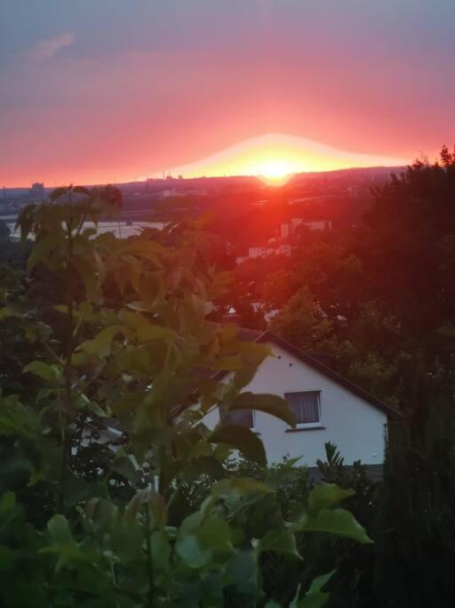 Gruene Wohlfuehloase Mit Einmaliger Aussicht Appartement Königswinter Buitenkant foto
