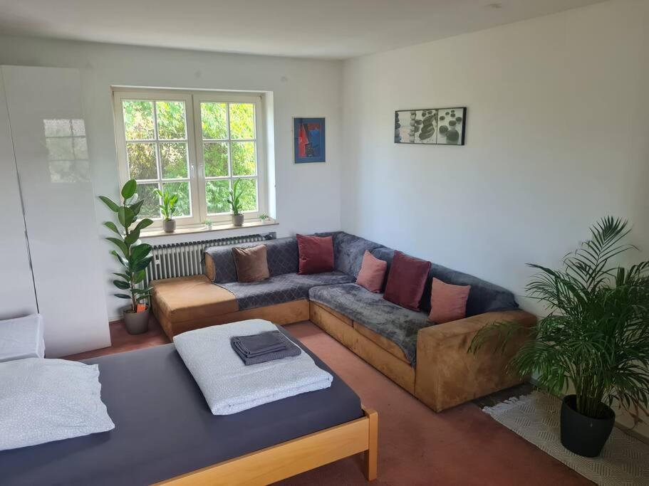 Gruene Wohlfuehloase Mit Einmaliger Aussicht Appartement Königswinter Buitenkant foto
